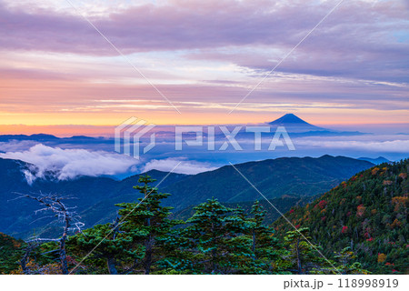 【山梨県】紅葉が始まった国師ヶ岳から望む富士山　夜明け 118998919