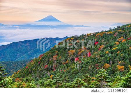 【長野県】朝の光に照らされた紅葉が美しい、国師ヶ岳から望む富士山 118999104