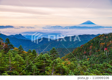 【長野県】朝の光に照らされた紅葉が美しい、国師ヶ岳から望む富士山 118999106