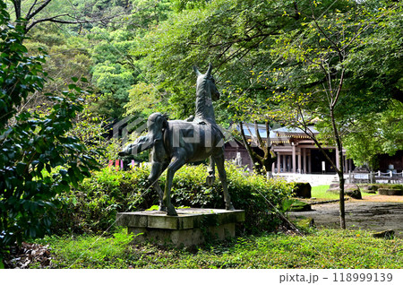 岐阜護国神社　境内 118999139