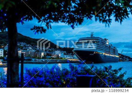 長崎港客船入港（Westerdam）水辺の森公園からの夜景ライトアップ【長崎市】 118999234