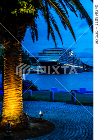 長崎港客船入港(Westerdam)水辺の森公園からの夜景ライトアップ【長崎市】 長崎港客船入港(Westerdam)水辺の森公園からの夜景ライトアップ【長崎市】 118999240