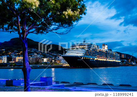 長崎港客船入港(Westerdam)水辺の森公園からの夜景ライトアップ【長崎市】 長崎港客船入港(Westerdam)水辺の森公園からの夜景ライトアップ【長崎市】 118999241