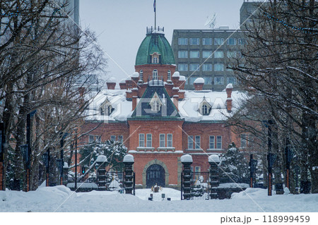 冬の北海道庁赤レンガ庁舎 北海道札幌市 118999459