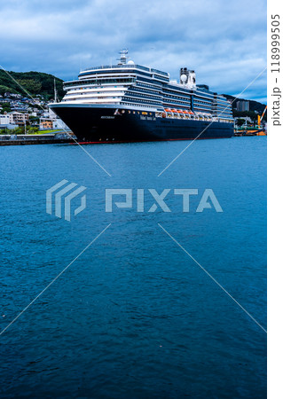 長崎港客船入港（Westerdam）水辺の森公園からの夕景【長崎市】 118999505