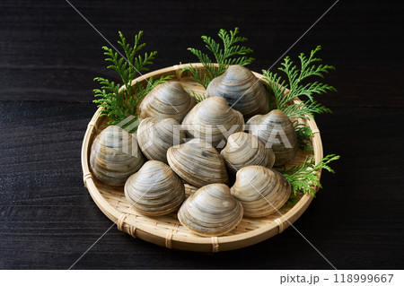 ざるに盛ったボンビノス貝 118999667