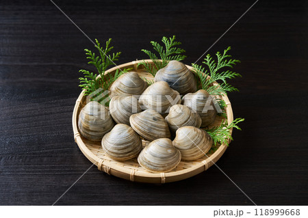 ざるに盛ったボンビノス貝 118999668