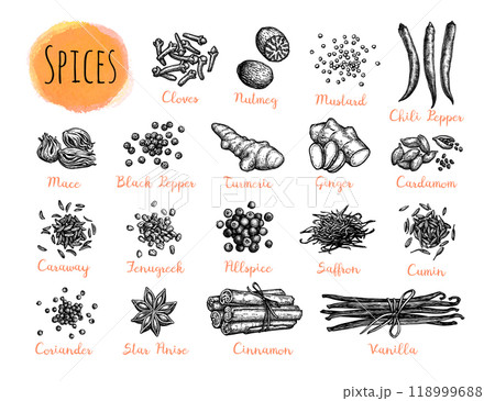 Ink Drawings of Spices. 118999688