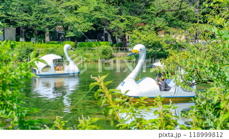 井の頭恩賜公園の池とスワンボート 東京・吉祥寺 118999812