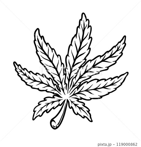 Illustration of cannabis leaf. Design element for poster, t shirt, sign. Vector illustration Illustration of cannabis leaf. Design element for poster, t shirt, sign. Vector illustration 119000862