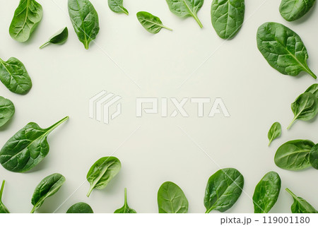 Spinach leaves frame on white background isolated. Creative food concept. Salad ingredient. Flat lay top view 119001180