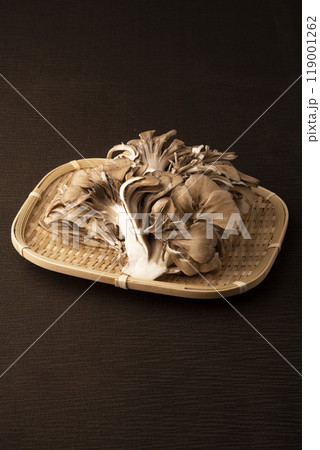 舞茸 舞茸 119001262