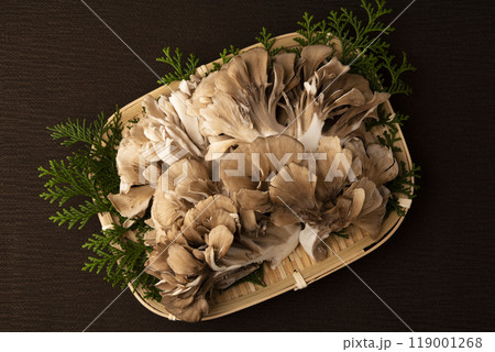 舞茸 舞茸 119001268