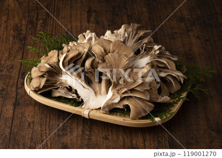 舞茸 舞茸 119001270