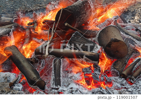 焚火5 119001507