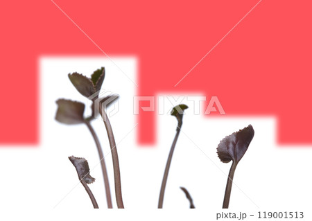 地球温暖化 イメージ（ fix撮影 ） 119001513