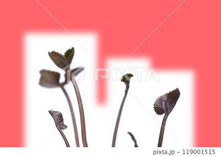 地球温暖化 イメージ（ fix撮影 ） 119001515