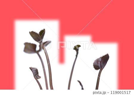 地球温暖化 イメージ（ fix撮影 ） 119001517