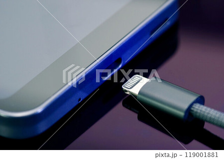 Lightning端子 119001881