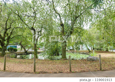 群馬大学桐生キャンパス　群馬県桐生市 119001913