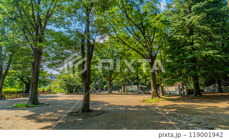吉祥寺 井の頭恩賜公園 119001942