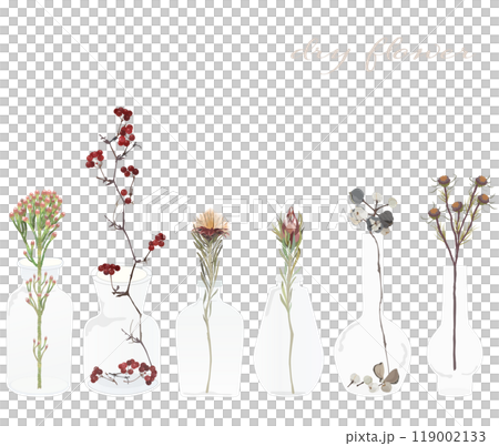 Dried flowers such as Chinese tallow tree, Chinese tallow tree, and Leucadendron brunia in a glass jar 119002133