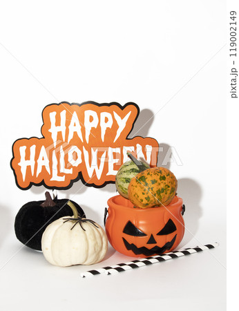 Autumn white and black decorative pumpkin isolated on a white background. Pumpkin with Halloween decor, black spider on a wooden stick 119002149