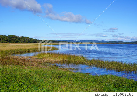 生花苗沼 生花苗沼 119002160