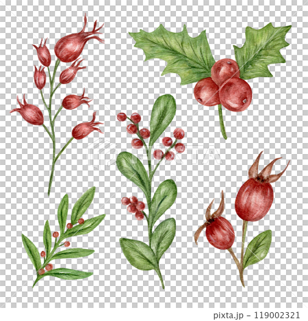 Christmas set of watercolor compositions of twigs, berries, holly, rosehip for bouquets. Red berries, a set of elements for holiday cards and prints Christmas set of watercolor compositions of twigs, berries, holly, rosehip for bouquets. Red berries, a set of elements for holiday cards and prints 119002321
