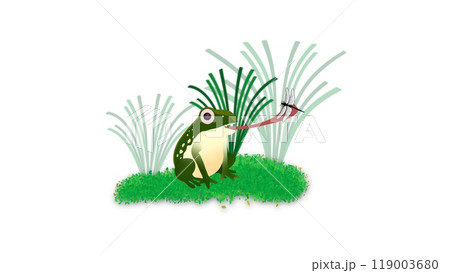 Green frog eat insect, Cartoon frog of green reptile character eating flying insects, Cartoon frog catching a fly, a frog catching flies using its tongue 119003680