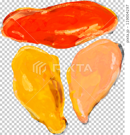 貽貝的插圖 119004297