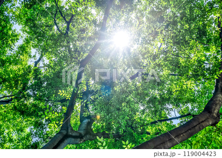 東京都豊島区の都市風景 豊島区立椎名町公園 東京都豊島区の都市風景 豊島区立椎名町公園 119004423