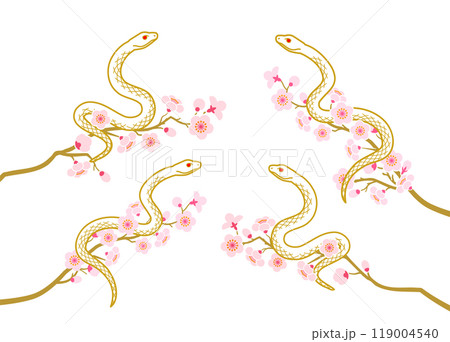 2025 巳年 年賀状素材 - 桜の枝に絡まる白蛇　4点セット 119004540