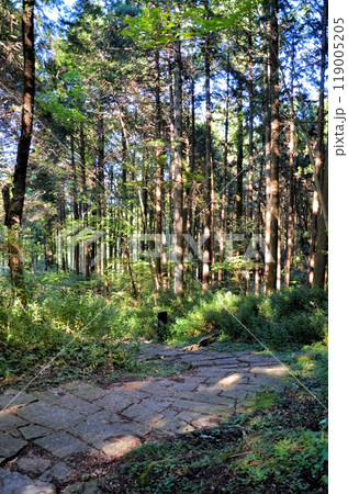 岩村城跡 初門跡 岩村城跡 初門跡 119005205