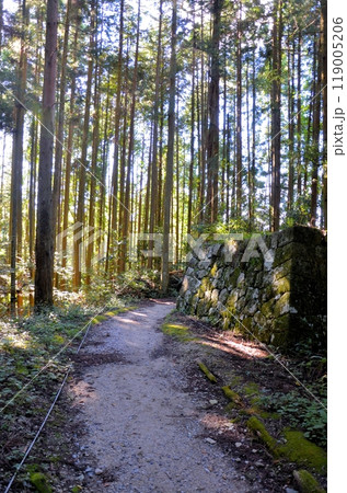 岩村城跡 畳橋跡 岩村城跡 畳橋跡 119005206