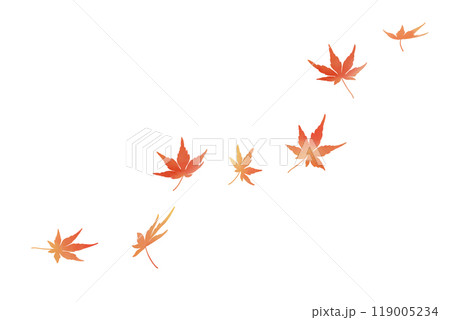 舞う紅葉　水彩　赤 119005234