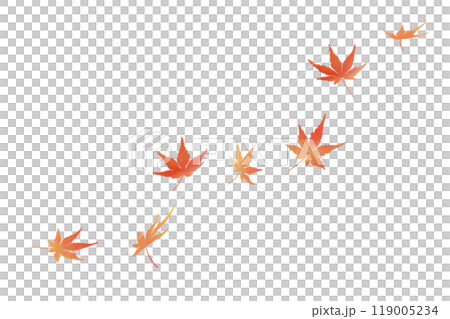 舞う紅葉　水彩　赤 119005234
