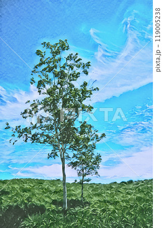 青い空と緑の木々2 119005238