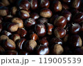 栗 119005539