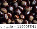 栗 119005541
