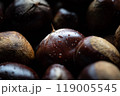 栗 119005545