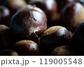 栗 119005548
