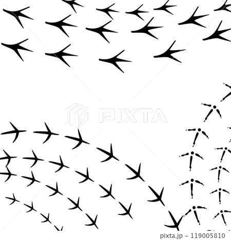 pattern with traces of various animals and birds. 119005810