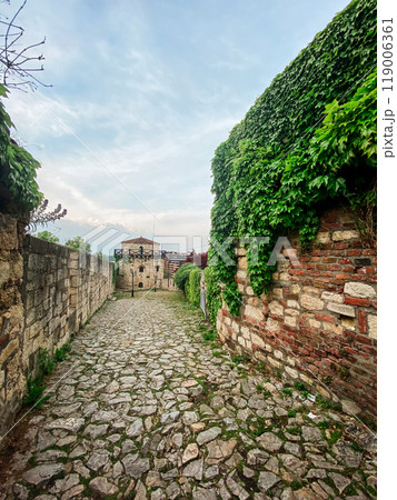 Stone pathway lined with ivy-covered walls leads to an old fortress under a soft, cloudy sky. the serene atmosphere captures a moment of timeless beauty and peaceful isolation in a historical setting. Stone pathway lined with ivy-covered walls leads to an old fortress under a soft, cloudy sky. the serene atmosphere captures a moment of timeless beauty and peaceful isolation in a historical setting. 119006361