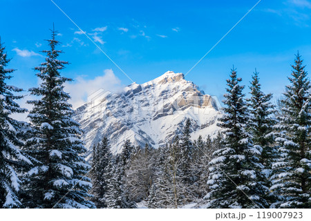 Close up snow-covered Cascade Mountain with snowy forest over blue sky and white clouds in winter sunny day. Banff National Park beautiful landscape. Canadian Rockies, Alberta, Canada. Close up snow-covered Cascade Mountain with snowy forest over blue sky and white clouds in winter sunny day. Banff National Park beautiful landscape. Canadian Rockies, Alberta, Canada. 119007923