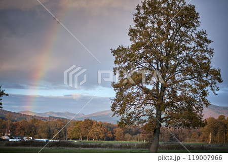 Rainbow over a tree in autumn landscape Rainbow over a tree in autumn landscape 119007966