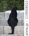 哀愁漂う黒猫 119008022