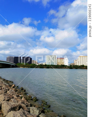 漫湖(沖縄県那覇市) 漫湖(沖縄県那覇市) 119008141