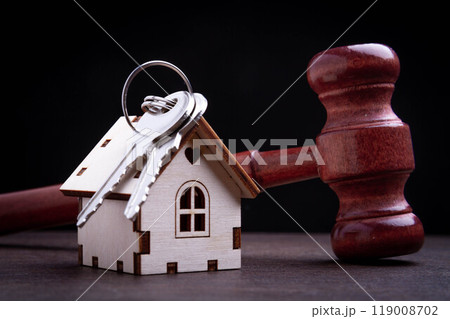 Arrest of house. Court decision on sale of house. Real estate auctions. 119008702