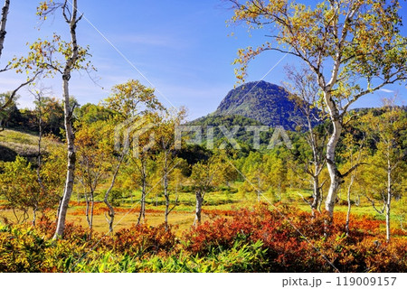 初秋の田ノ原湿原 初秋の田ノ原湿原 119009157